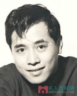 楚原 电影 电视剧